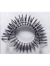 VITI PER CARTONGESSO su LEGNO mm.50 p.l.