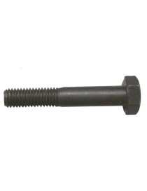 VITE TESTA ESAGONO NERO 8.8  6X80