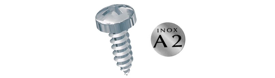 Testa cilindrica inox