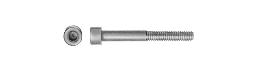 Testa cilindrica incassata